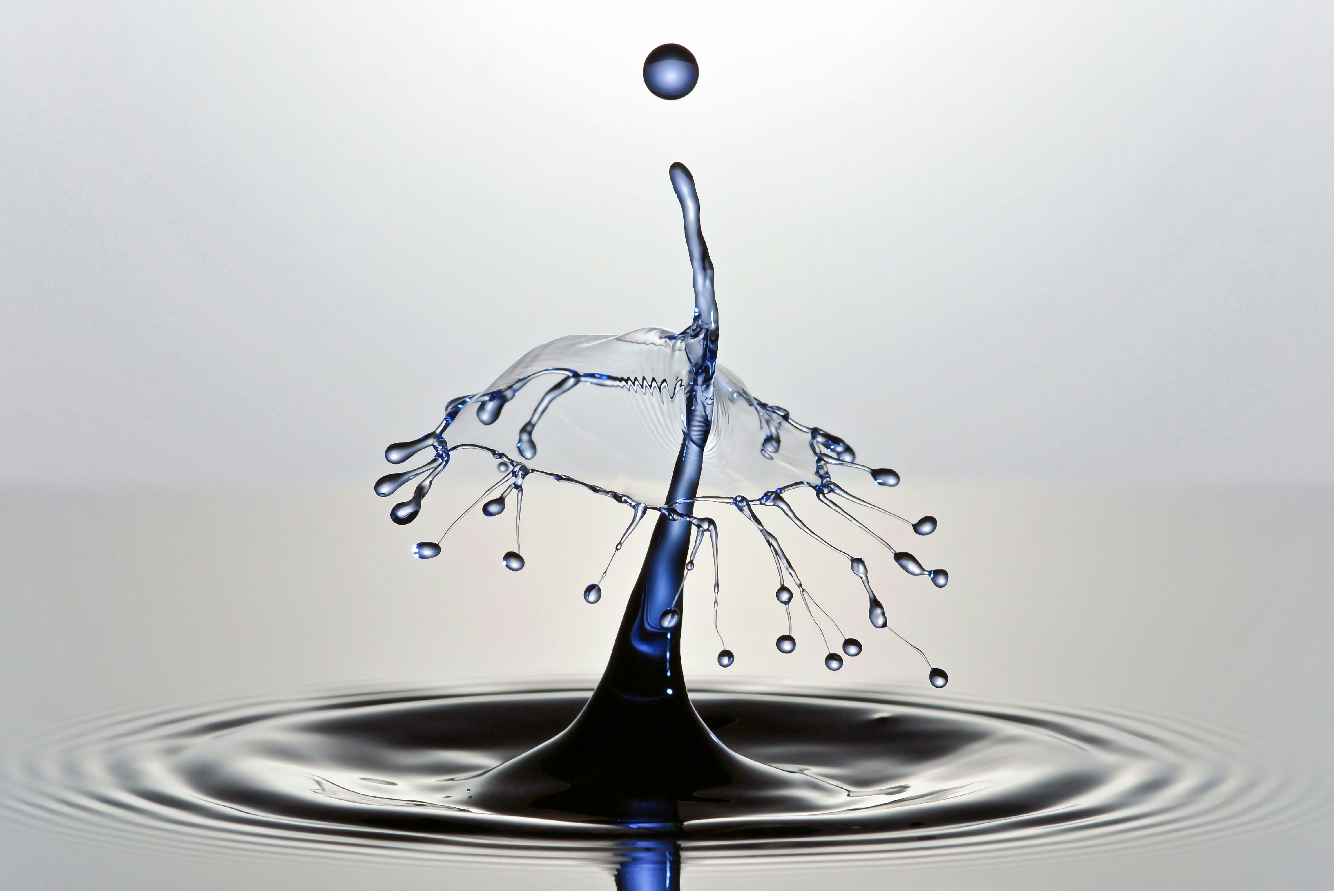 Water Reuse, Efficiency & Circular Solutions